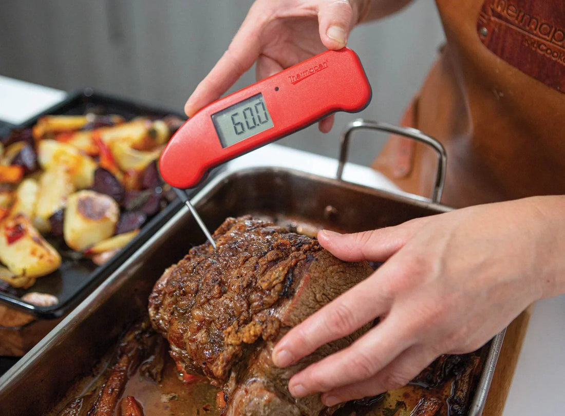 Panduan Lengkap Termometer Daging Nirkabel 2026 dari Alphinea Store