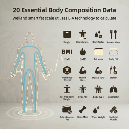 La balance connectée Alphinea suit 20 indicateurs de santé essentiels, dont l'IMC, la masse grasse et la masse musculaire.