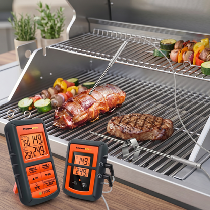 Alphinea dual-probe synchronization in action, showing food-grade stainless steel probes inserted into steaks and rolled meat on an outdoor BBQ grill for total ambient and internal heat control.