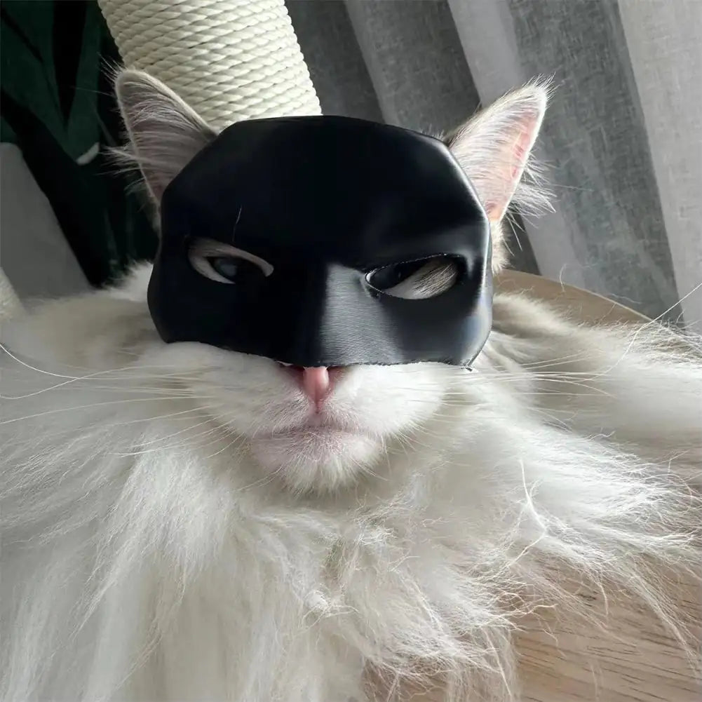 Cat Bat Hero Mask