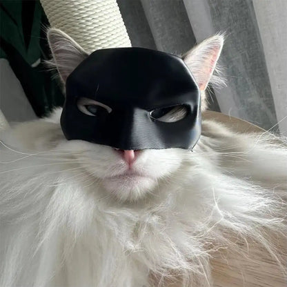Cat Bat Hero Mask