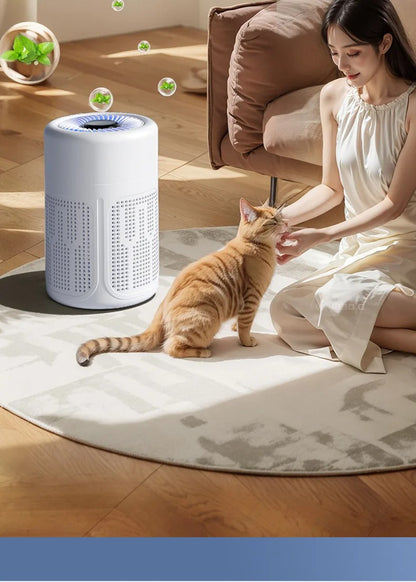 USB Air Purifier Negative Ion Household Air Formaldehyde Removal Odor Filtration Indoor Odor Removal Alphinea Store