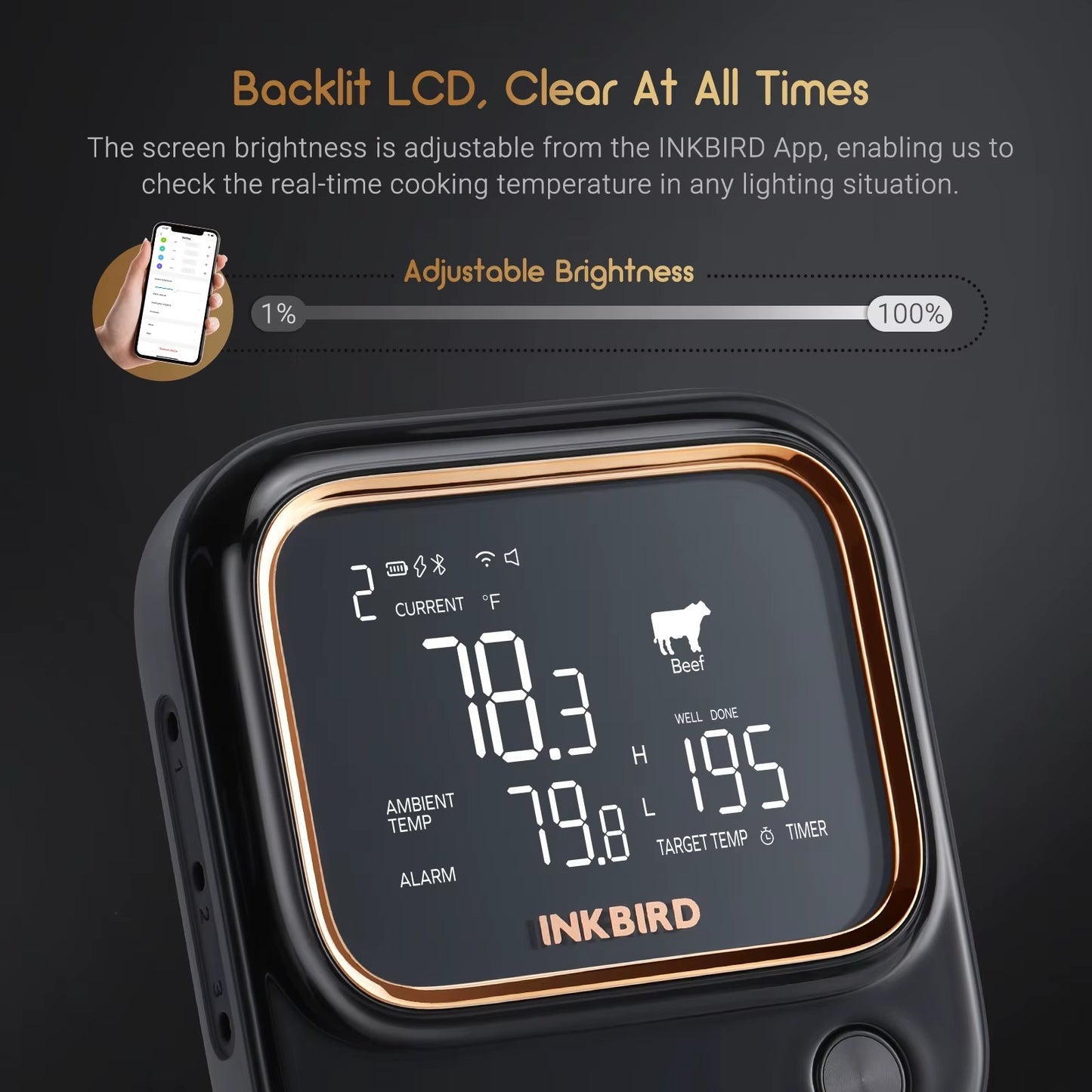 INKBIRD WiFi Bluetooth BBQ Thermometer with 4 Probes APP Remote Controlled Household Kitchen Meat Thermometer Alphinea Store