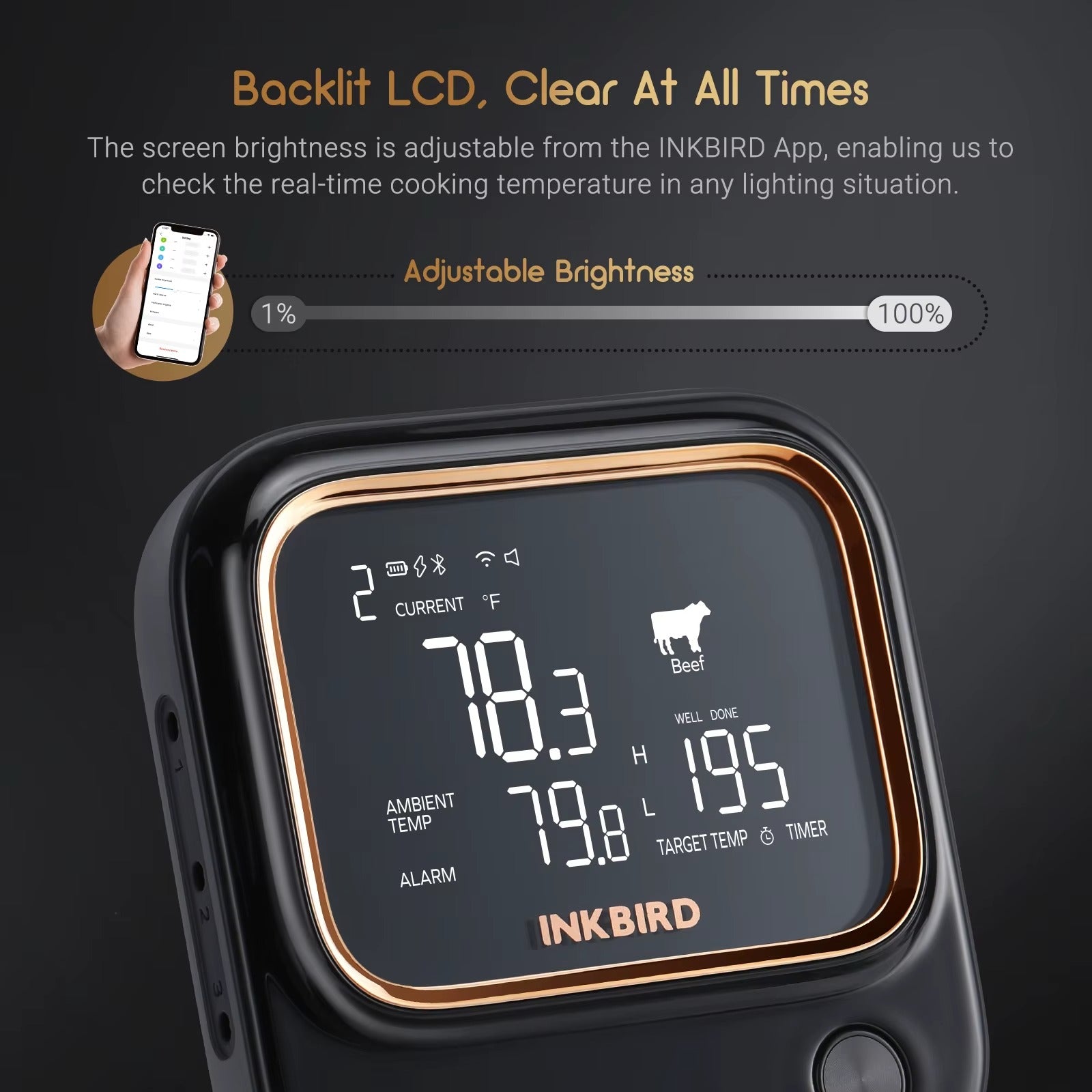 INKBIRD WiFi Bluetooth BBQ Thermometer with 4 Probes APP Remote Controlled Household Kitchen Meat Thermometer Alphinea Store