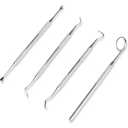 Water Dental Flosser