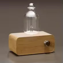 Rechargeable Essential Oil Diffuser Waterless Nebulizing Diffuser Electric Smell for Home Office Wood and Glass Aroma Diffuser Alphinea Store