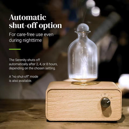 Rechargeable Essential Oil Diffuser Waterless Nebulizing Diffuser Electric Smell for Home Office Wood and Glass Aroma Diffuser Alphinea Store