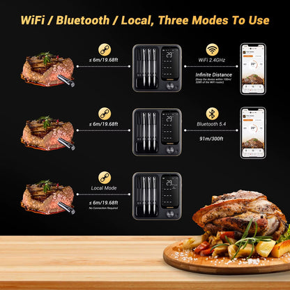 Truly Wireless Meat Thermometer 2 Types Waterproof Digital Food Thermometer for Turkey Beef Rotisserie Grill Oven BBQ Alphinea Store