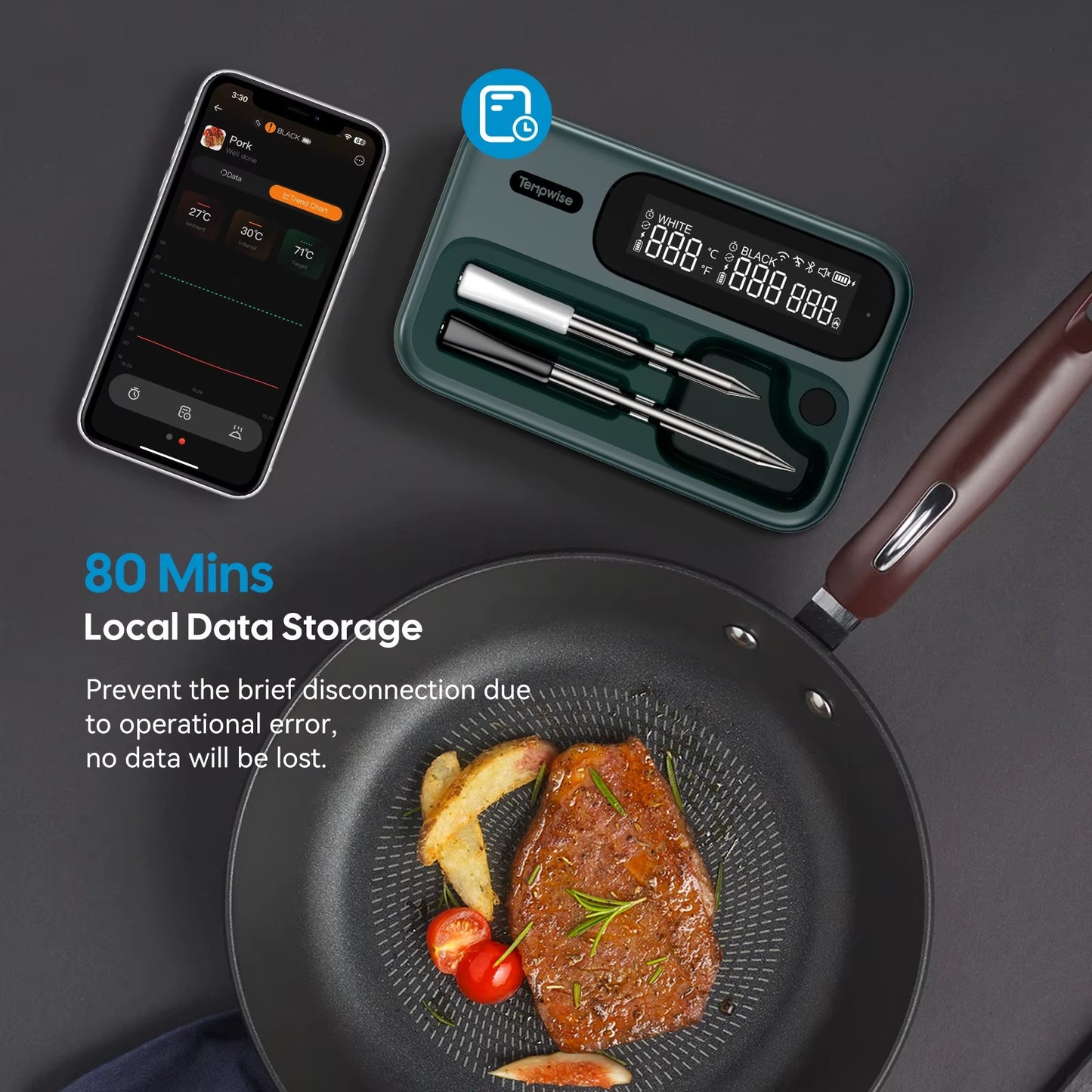 Smart Beef Meat Thermometer Wireless Bluetooth BBQ Thermometer with Long&Short Probes Precision Food Temp Gauge for Cooking Alphinea Store